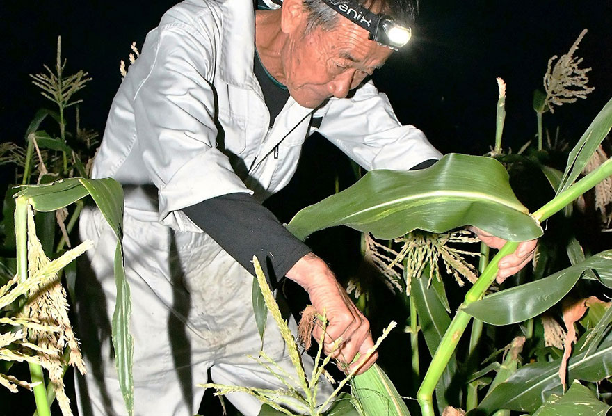 写真